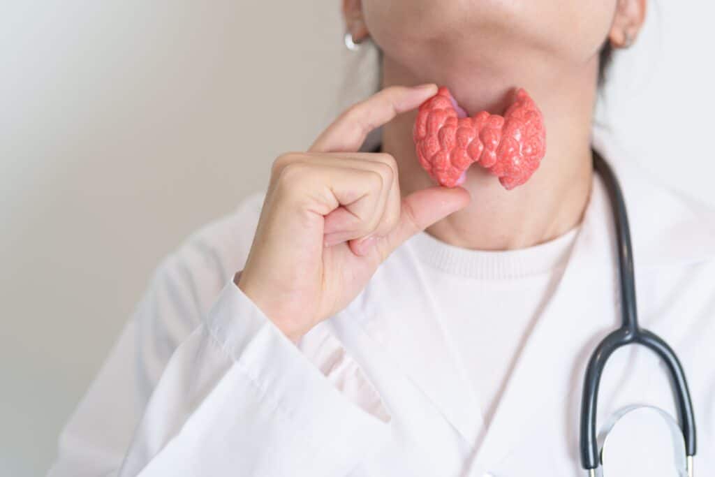 A woman holding a model of the thyroid in front of her throat