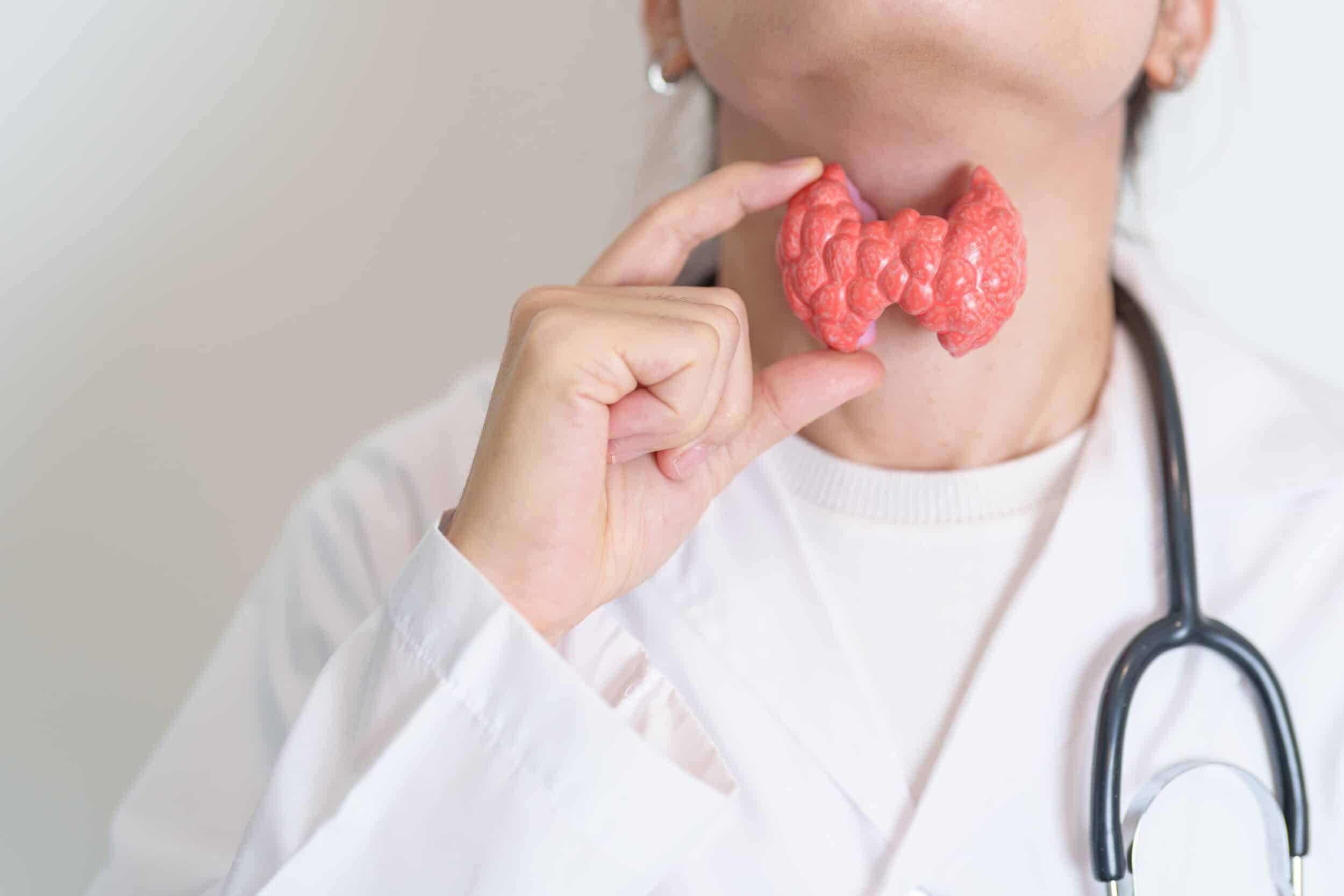 A woman holding a model of the thyroid in front of her throat