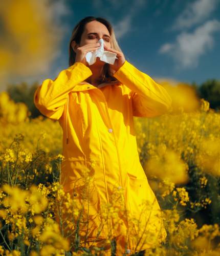 iStock-2257507798 X-Rays in Fairfax, South Riding, Merrifield & Tysons, VA